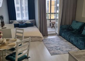 Сдаю квартиру студию, 28 м2, Санкт-Петербург, проспект Будённого, 21к1, Красносельский район