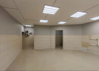 Продается помещение свободного назначения, 90 м2, Санкт-Петербург, улица Зои Космодемьянской, 17/26, Кировский район