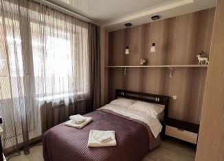 Аренда однокомнатной квартиры, 47 м2, Нижний Новгород, улица Белинского, 36