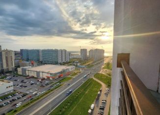 Продам однокомнатную квартиру, 64 м2, Санкт-Петербург, Ленинский проспект, 64к1, Красносельский район