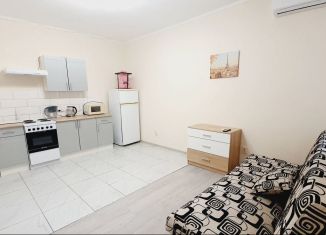 Сдаю однокомнатную квартиру, 35.2 м2, Краснодар, Школьная улица, 13/9, Школьный микрорайон