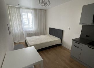 Сдача в аренду квартиры студии, 22 м2, Мурино, Екатерининская улица, 19