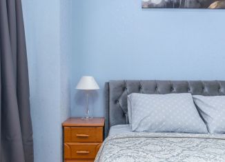 1-комнатная квартира в аренду, 43 м2, Санкт-Петербург, Фермское шоссе, 32