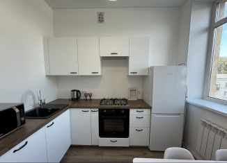 2-ком. квартира в аренду, 47 м2, Санкт-Петербург, Среднеохтинский проспект