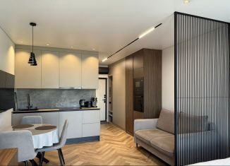 Сдача в аренду квартиры студии, 30 м2, Сочи, Ломоносовская улица, 2Б, микрорайон Яна Фабрициуса