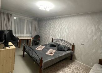 Сдается 1-ком. квартира, 30.7 м2, Санкт-Петербург, улица Пионерстроя, 7к3, Красносельский район