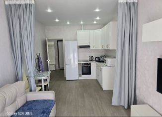 Сдам в аренду однокомнатную квартиру, 50 м2, Сочи, Теневой переулок, 10Ак1