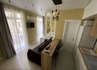 Сдам квартиру студию, 23 м2, Сириус, улица Нагорный Тупик, 13В