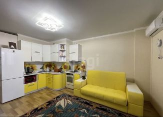 Продаю квартиру студию, 29 м2, Набережные Челны, Сармановский тракт, 49