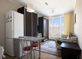 Продажа квартиры студии, 22.1 м2, посёлок Парголово, Толубеевский проезд, 8к2