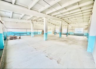 Сдается в аренду производство, 355 м2, Новосибирская область, Приграничная улица, 5