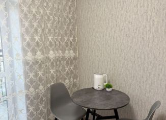 Сдам 1-ком. квартиру, 35 м2, Омск, 6-й Амурский проезд, 14