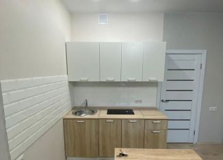 Квартира в аренду студия, 27 м2, деревня Крёкшино, улица Медовая Долина, 4