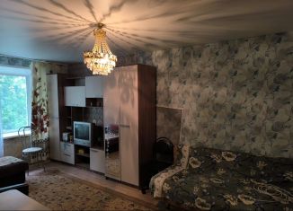 Сдача в аренду однокомнатной квартиры, 30 м2, Арзамас, улица 9 Мая, 3