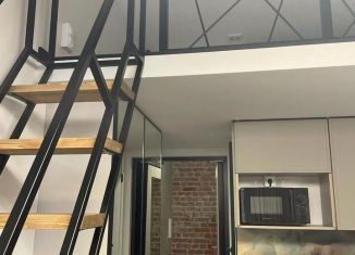 Продается квартира студия, 22.5 м2, Санкт-Петербург, набережная Обводного канала, 165, Адмиралтейский район