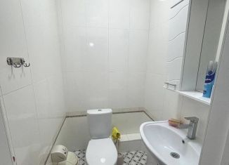 Сдается 2-ком. квартира, 56 м2, Санкт-Петербург, проспект Металлистов, 4