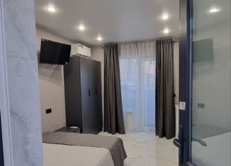 Аренда квартиры студии, 17.9 м2, Сочи, улица Просвещения, 198, микрорайон Чкаловский