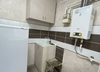 Аренда 1-комнатной квартиры, 31 м2, Елец, Юбилейная улица, 5