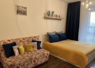 Аренда квартиры студии, 26 м2, Санкт-Петербург, Новолитовская улица, метро Площадь Мужества