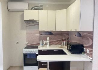 Сдается в аренду квартира студия, 22.9 м2, поселок городского типа Стройкерамика, улица Анетты Басс, 5