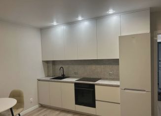 Продам однокомнатную квартиру, 26.9 м2, Тюмень, ЖК Пятый квартал, улица Константина Посьета, 4к1