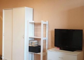 Сдается квартира студия, 25 м2, Новосибирск, Танковая улица, 32, ЖК Астра
