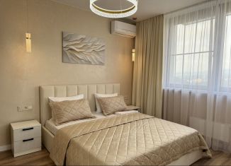 Сдается двухкомнатная квартира, 45 м2, Сочи, Ясногорская улица, 16/2к11, микрорайон Бытха