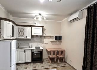 Продается квартира студия, 25.2 м2, Котельники, Сосновая улица, 1к1