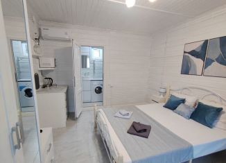 Аренда квартиры студии, 17 м2, Сочи, улица Панфилова, 2, микрорайон Голубые Дали