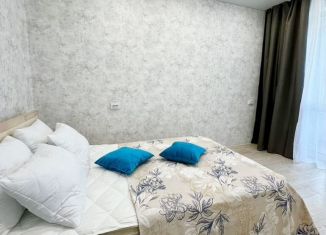 Сдача в аренду однокомнатной квартиры, 45 м2, Республика Башкортостан, Коммунистическая улица, 98/1