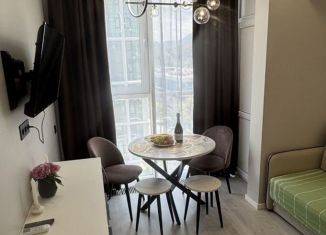 Сдам в аренду квартиру студию, 23 м2, Сочи, Ясногорская улица, 16/6к3, микрорайон Бытха