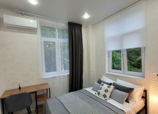 Однокомнатная квартира в аренду, 32 м2, село Орёл-Изумруд, Дачная улица, 16А/2