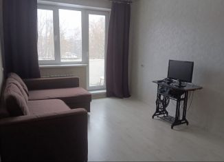 Сдается двухкомнатная квартира, 50 м2, Кингисепп, 1-я линия, 12