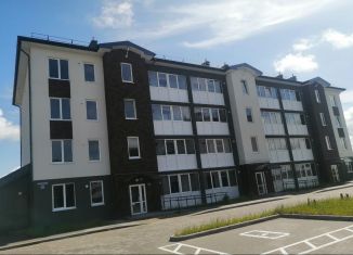 1-комнатная квартира на продажу, 27.6 м2, посёлок Голубево, Лазурная улица, 29к4