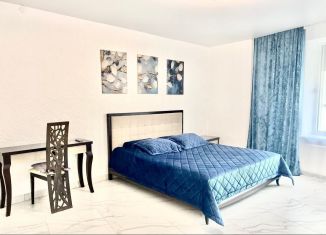 1-комнатная квартира в аренду, 60 м2, Ярославль, Которосльная набережная, 57