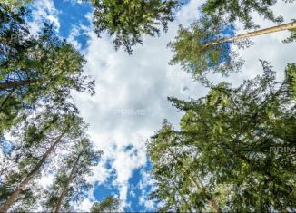 Продаю участок, 12.1 сот., деревня Шульгино, Лесная улица