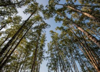 Продается земельный участок, 1 сот., Котельники