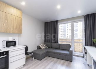 Продается квартира студия, 24.8 м2, Тюмень, улица Вице-адмирала Воронцова, 9