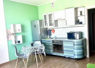 Сдаю в аренду квартиру студию, 31 м2, Мурино, Воронцовский бульвар, 2