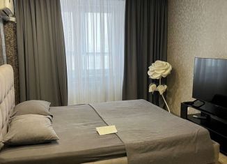 1-комнатная квартира в аренду, 43 м2, Набережные Челны, проспект Дружбы Народов, 29А