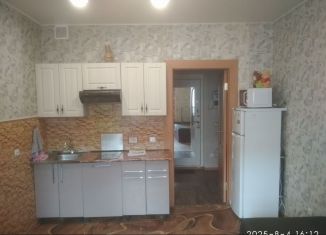 Квартира в аренду студия, 20.3 м2, Мурино, Воронцовский бульвар