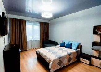 Сдаю 1-ком. квартиру, 46.9 м2, Хабаровск, улица Гамарника, 8