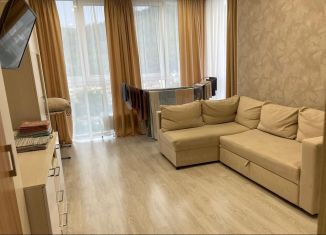 Сдается 1-комнатная квартира, 42 м2, село Небуг, улица Газовиков, 3А/1