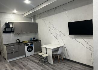 Сдаю в аренду квартиру студию, 30 м2, Сочи, Орбитовская улица, 2Б, микрорайон Энергетик-Изумруд