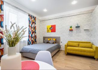 Продается 1-ком. квартира, 24 м2, Татарстан, улица Нурсултана Назарбаева, 35к1