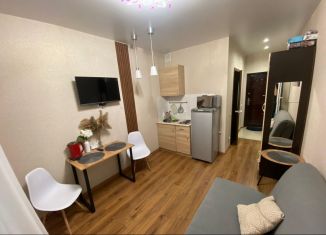 Сдача в аренду квартиры студии, 19.1 м2, деревня Афонино, улица Красная Поляна, 4