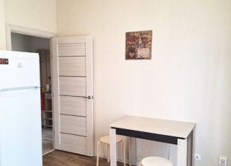 Сдается 1-комнатная квартира, 38 м2, Ростов-на-Дону, улица Ерёменко, 110с1, ЖК Пятый Элемент