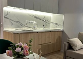 Аренда квартиры студии, 20 м2, Краснодар, улица имени Дзержинского, 110А, микрорайон Горхутор