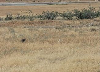 Земельный участок на продажу, 6 сот., Астрахань, площадь имени Ленина