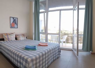 Сдаю в аренду квартиру студию, 26 м2, посёлок городского типа Симеиз, улица Михаила Баранова, 55